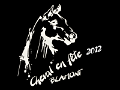 Fete du cheval 2012